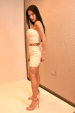 SET - Imagen 2