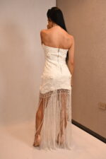 SET - Imagen 3