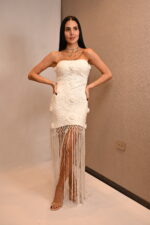 SET - Imagen 5