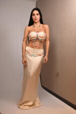 SET - Imagen 13