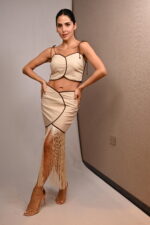 SET - Imagen 3