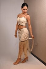 SET - Imagen 5