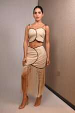 SET - Imagen 11